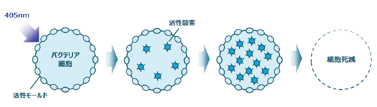 405nm照明 クリーンリニア