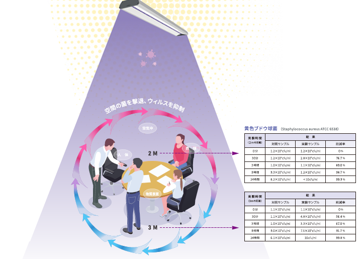 405nm照明 クリーンリニア