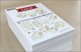 防災備蓄用紙製食器「beak」（ビーク）